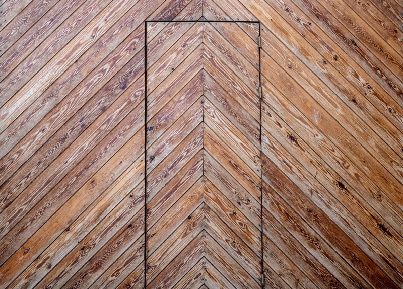 Seamless Hidden Door